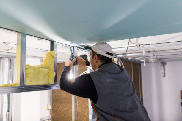 Best Insulation Installation Services in Grand Ledge, MI