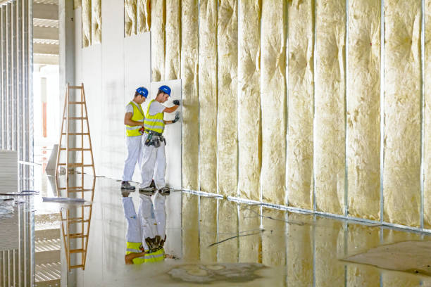 Best Types of Insulation in Grand Ledge, MI